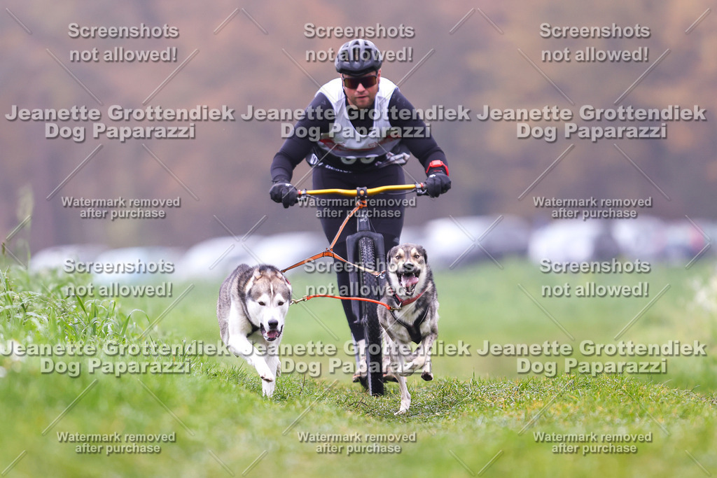 Dog Paparazzi - Visbeck 25 -73 | Dog Paparazzi Jeanette Grottendiek Fotografie & Videografie - Realisiert mit Pictrs.com