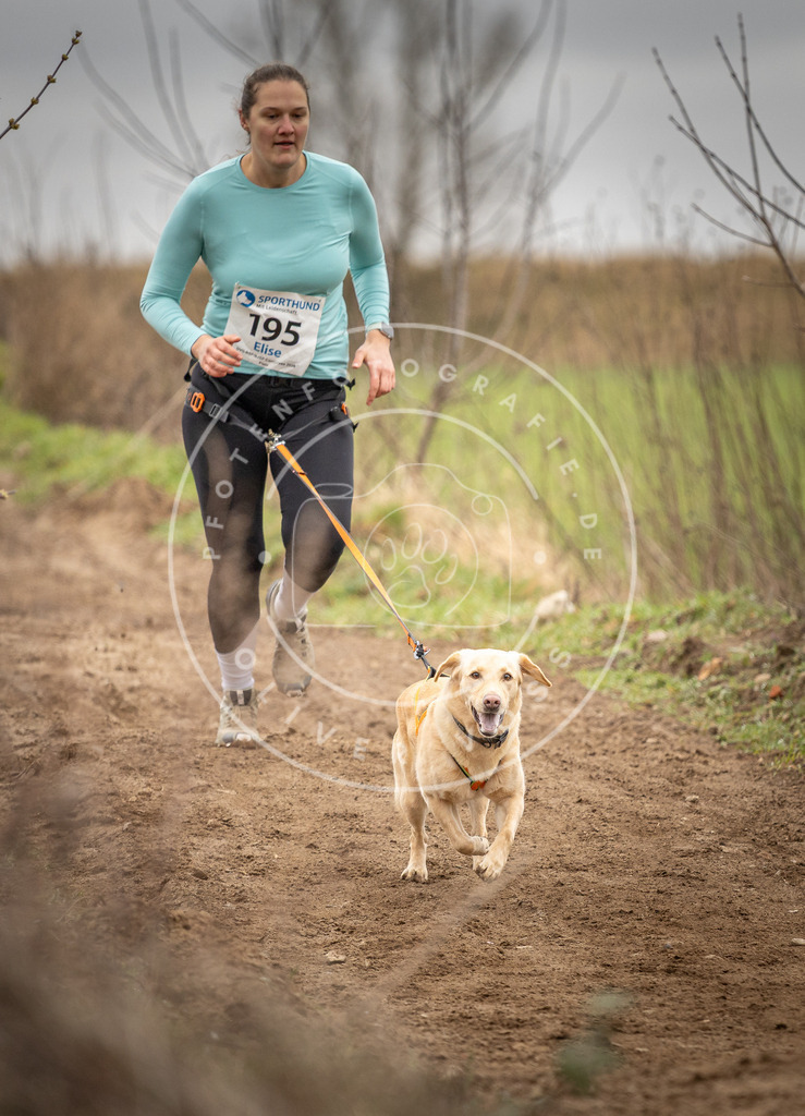 DV3A2284 | Hundefotografie, Tierfotograf, Pfotenfotografie, Fotoshooting Hund, Hunde Portrait, Hundesport, Hundeportraits, Heideshooting, Hunde, Sportfotograf, Hundefotograf, Turnierhundsport, THS,  - Realisiert mit Pictrs.com