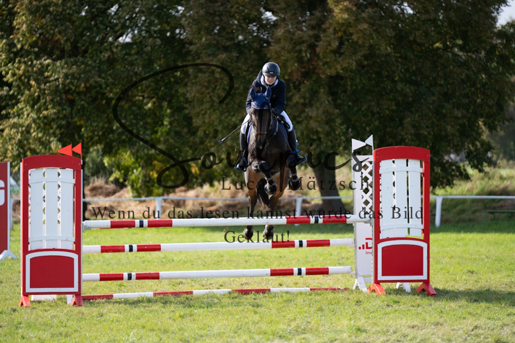 A7V06958 | Pferdefotograf