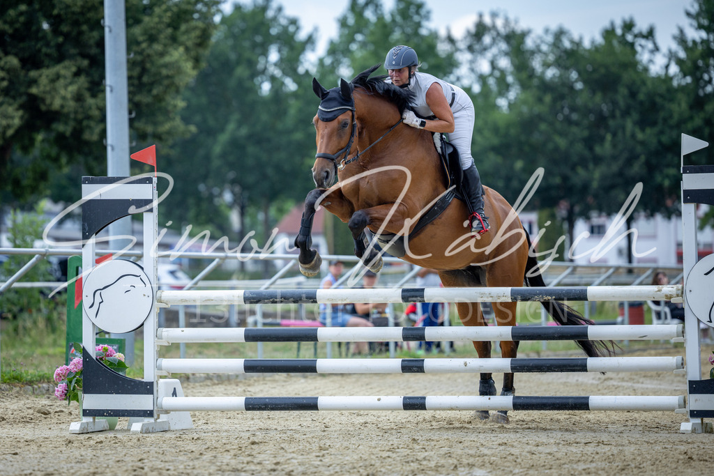 20260704-_3LI1365 | Tierfotografie Pferde, Hunde, Katzen, Haustiere.
Turnierfotografie Reitturniere, Reiten, Springreiten, Dressur in Hanau, dem Main-Kinzig-Kreis und dem Rhein-Main- Gebiet um Frankfurt