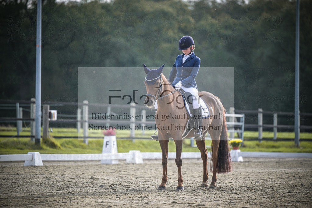 DOS_B155 | Entdecke hochwertige Reitturnierfotos von Foto Oger. Professionell, emotional und authentisch – jetzt Lieblingsmomente im Shop bestellen.Deutschlandweite Turnierfotografie. - Realisiert mit Pictrs.com