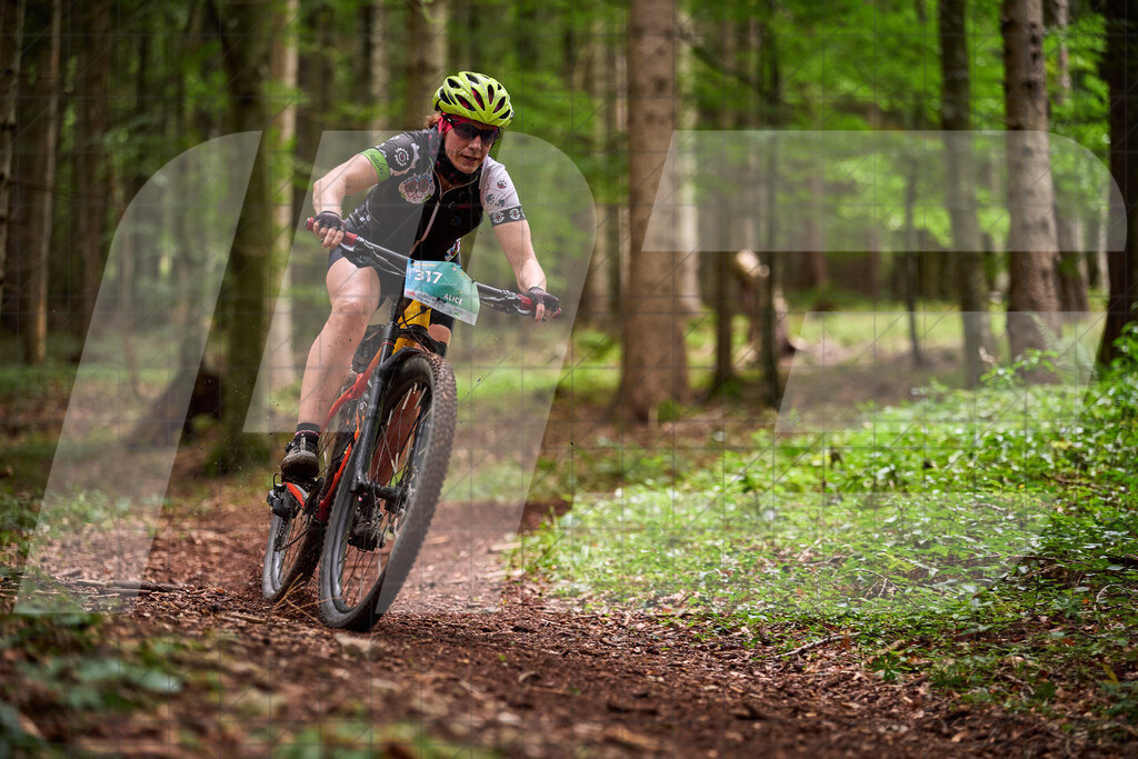 Betriebszentrum Laubenbachmühle, Frankenfels, Österreich - 13. September 2025: Dirndltal Race - Fun und Trophy RaceFotograf: Martin Bihounek / martinbihounek.com | 13. September 2025 Betriebszentrum Laubenbachmühle, Frankenfels, Österreich : Dirndltal Race - Fun und Trophy Race •••••Photo by: Martin Bihounek / martinbihounek.comInsta: @martinbihounekcom