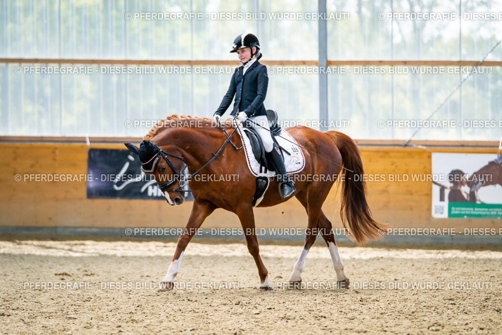 DSC05178 | Pferdegrafie