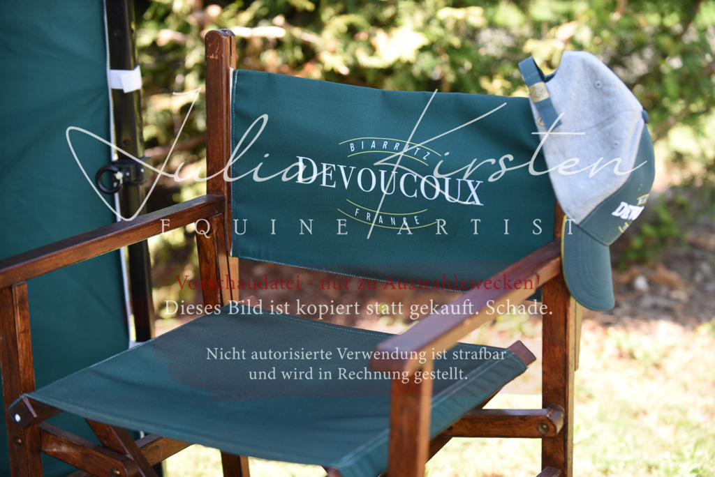 DSC_8890 | Pferde- und Turnierfotografie in Westsachsen. Pferdeportraits, Auftragszeichnungen und intuitive Kunst.