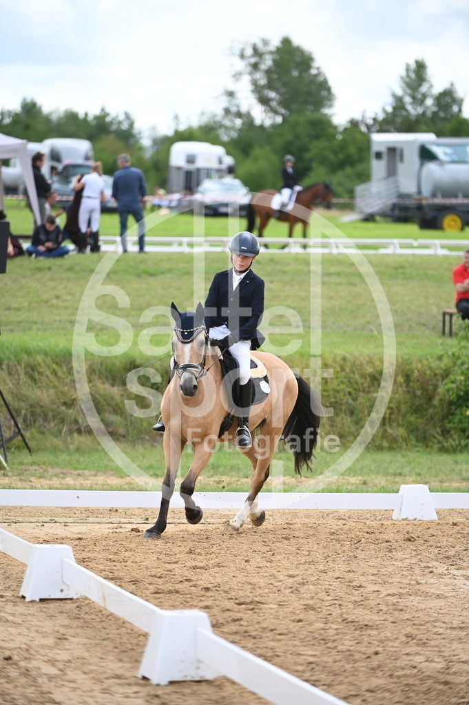 DSC_6292 | sattelsport - Realisiert mit Pictrs.com