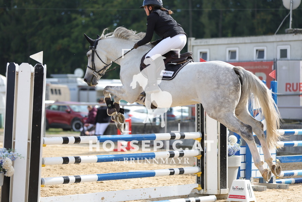 0P6A4884 | Willkommen bei Brunnmayr - Design & Fotografie – Ihrem Spezialisten für Reitturniere und Pferdeveranstaltungen in Oberösterreich, Salzburg und Bayern! Seit über 17 Jahren sind wir leidenschaftlich dabei.