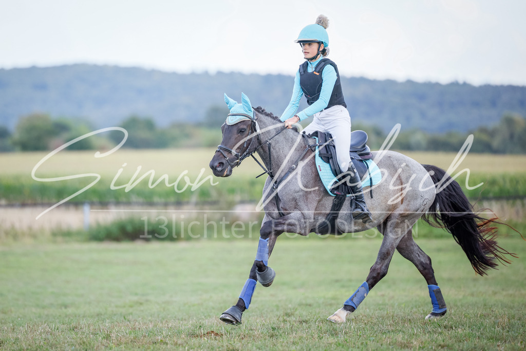 20250905-_3LI1986 | Tierfotografie Pferde, Hunde, Katzen, Haustiere.
Turnierfotografie Reitturniere, Reiten, Springreiten, Dressur in Hanau, dem Main-Kinzig-Kreis und dem Rhein-Main- Gebiet um Frankfurt