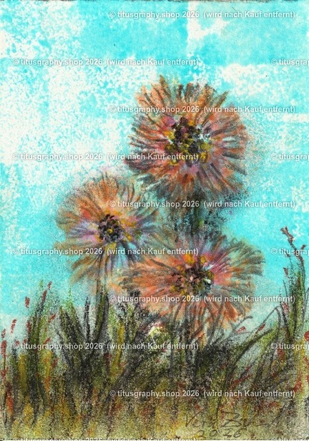 Noch ein Blumengruß | Zeichnung von Vera Zschecked exclusiv auf titusgraphy.eu - Realisiert mit Pictrs.com