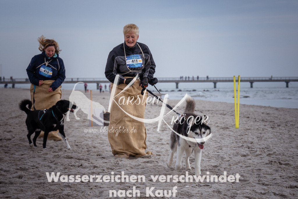 1140_ZZ90014 | kk-dogfotos