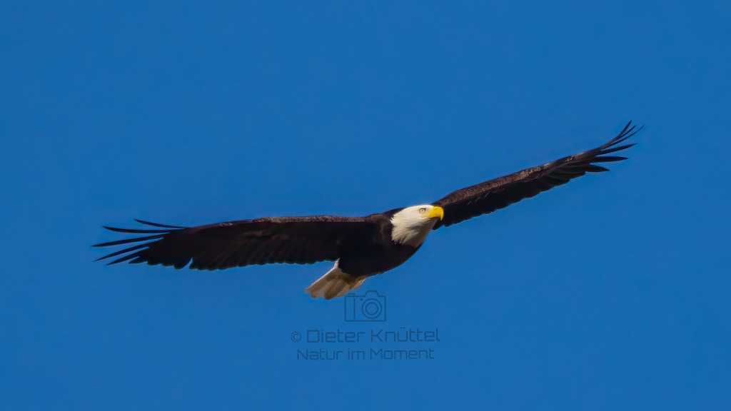 P1637216-Bearbeitet-2023-LR | Natur im Moment - Realisiert mit Pictrs.com