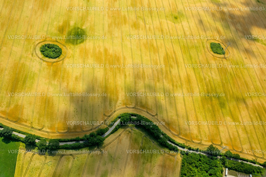 Reinfeld15069102Trave | Kornfeld mit Buschhecken in Form eines Gesichtes,  Bad Oldesloe, Schleswig-Holstein, Deutschland