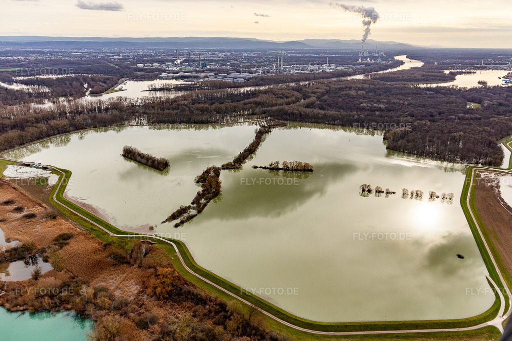 Luftbild: Überfluteter Altrhein / Polder Neupotz in Neupotz im Bundesland Rheinland-Pfalz in Deutschland. Foto: IMG_124229.jpg vom 04.02.2021 durch Werner Riehm/FLY-FOTO.de
