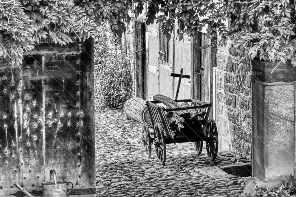 IMG_E1425-1 | Rolf Wittke  - Realisiert mit Pictrs.com