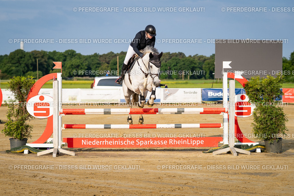 DSC01980 | Pferdegrafie