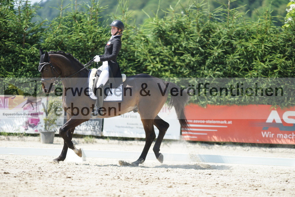 DSC05252 | equestrian-live-com