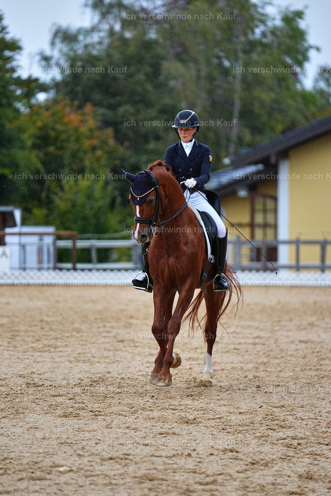 8_1-223-Klasse S_  -Marixx-4301 | working equitationturnier fotograf videograf stoibphotography marixx film working equitation deutschland reitsport turnierfotografie eventfotografie equestrian events