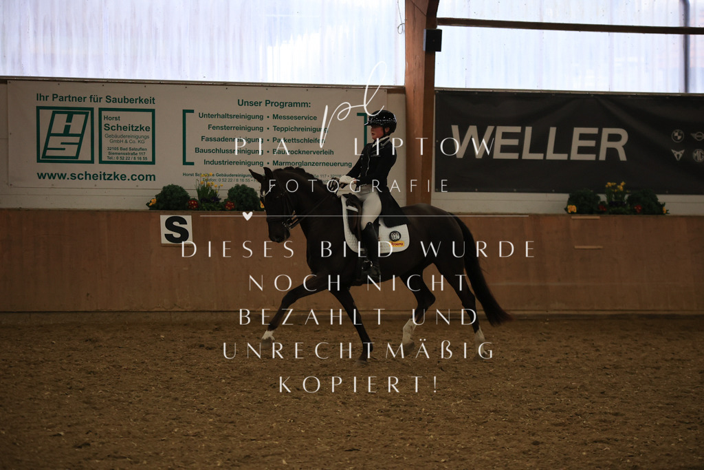 IMGT6234 | pl-fotografie