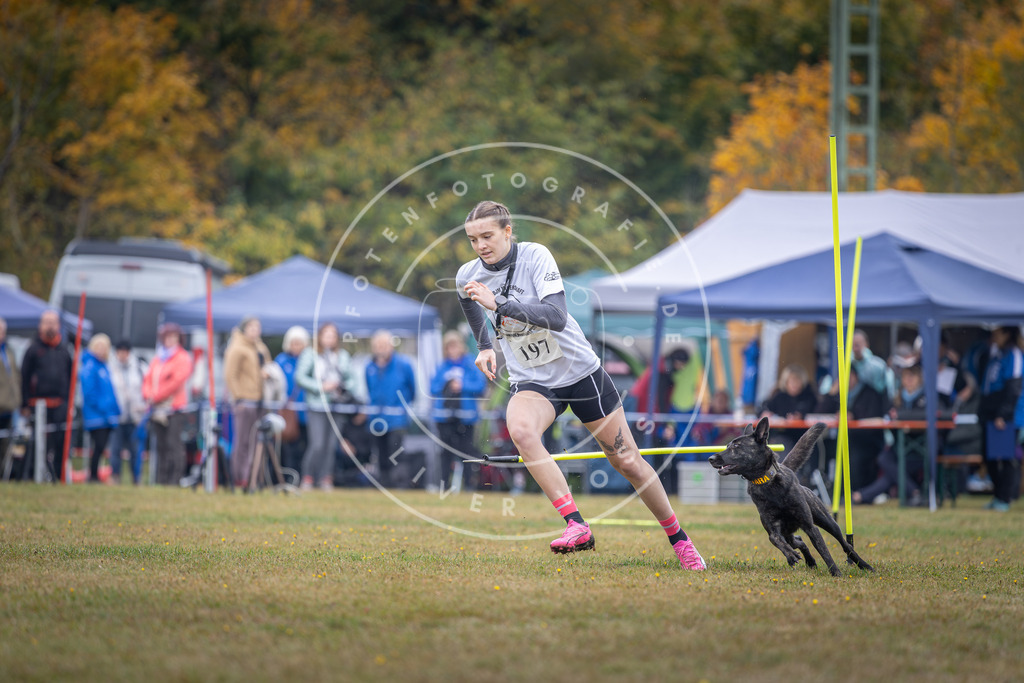 Pfotenfotografie_DV3A1091 | Hundefotografie, Tierfotograf, Pfotenfotografie, Fotoshooting Hund, Hunde Portrait, Hundesport, Hundeportraits, Heideshooting, Hunde, Sportfotograf, Hundefotograf, Turnierhundsport, THS,  - Realisiert mit Pictrs.com