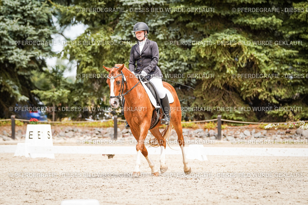 DSC04235 | Pferdegrafie