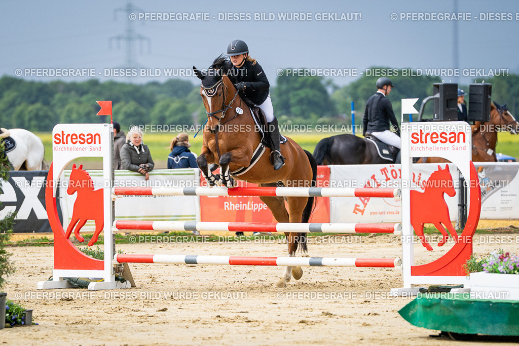 DSC04027 | Pferdegrafie