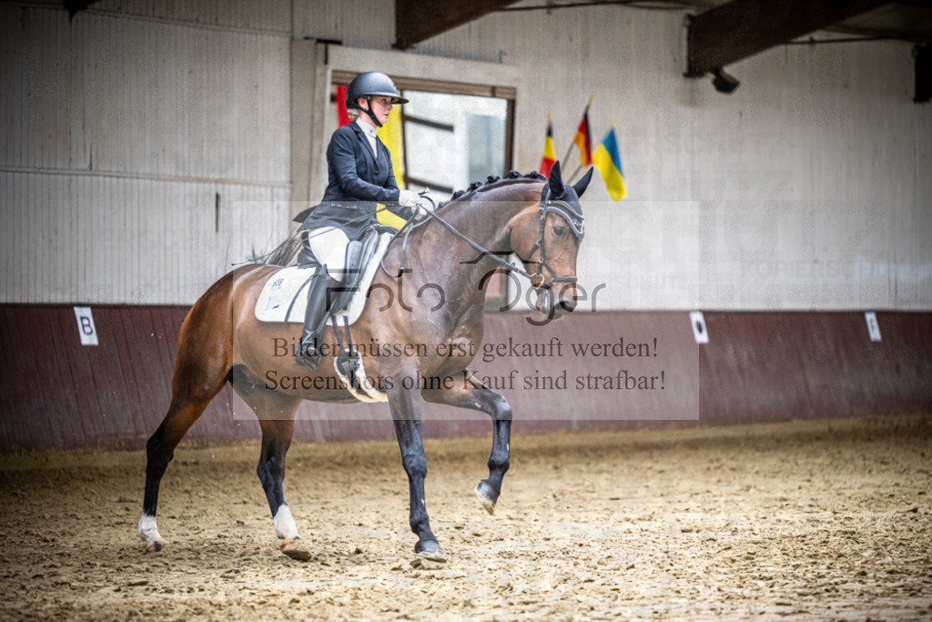 DOS_2600 | Reitturnier Lüdinghausen - Realisiert mit Pictrs.com