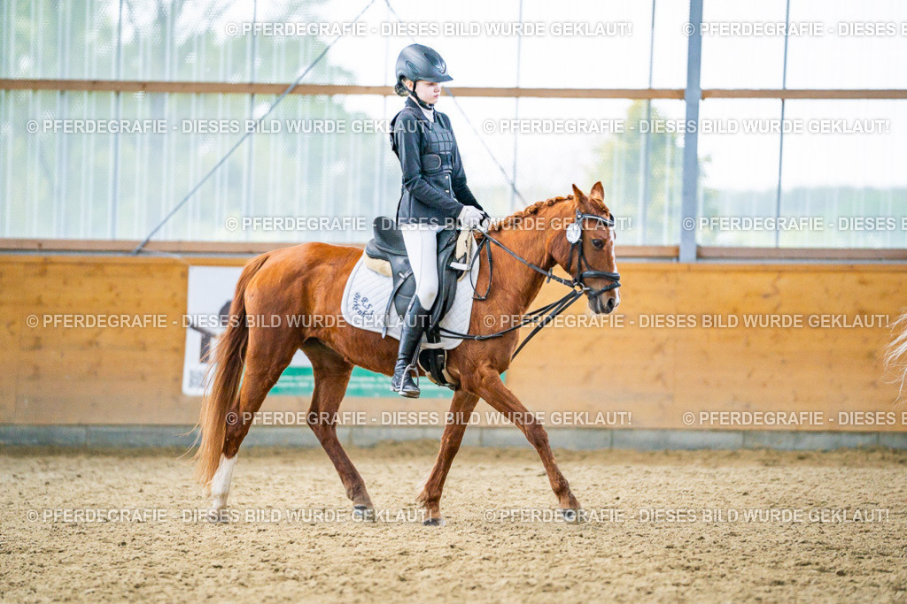 DSC04836 | Pferdegrafie