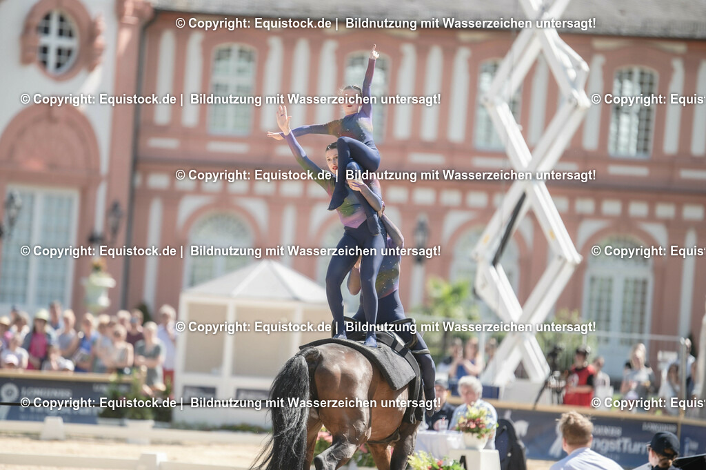 20230528_Voltigieren_NASPA_0507 | equistock