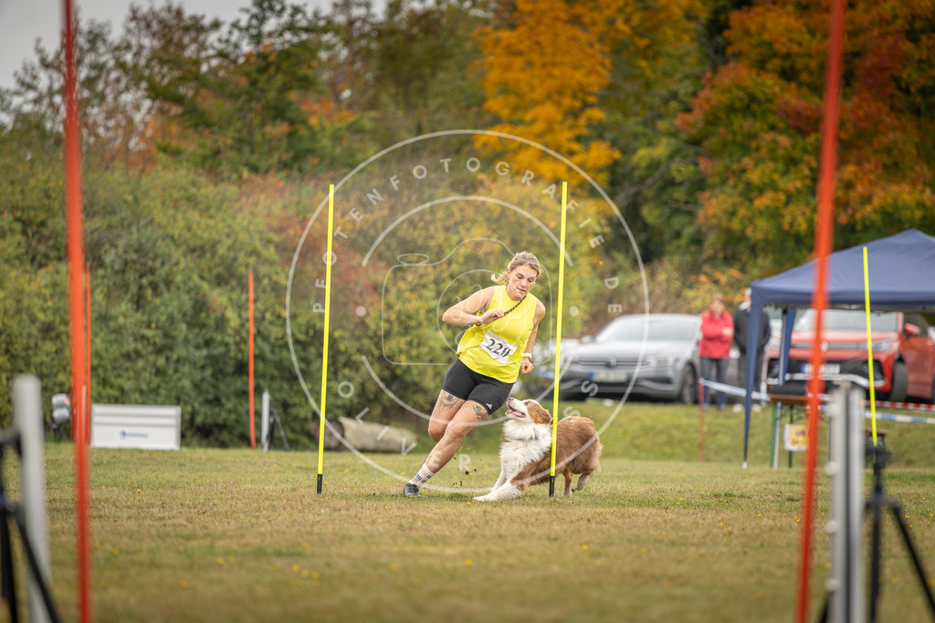 Pfotenfotografie_DV3A3685 | Hundefotografie, Tierfotograf, Pfotenfotografie, Fotoshooting Hund, Hunde Portrait, Hundesport, Hundeportraits, Heideshooting, Hunde, Sportfotograf, Hundefotograf, Turnierhundsport, THS,  - Realisiert mit Pictrs.com