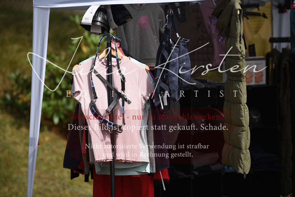 DSC_4310 | Pferde- und Turnierfotografie in Westsachsen. Pferdeportraits, Auftragszeichnungen und intuitive Kunst.