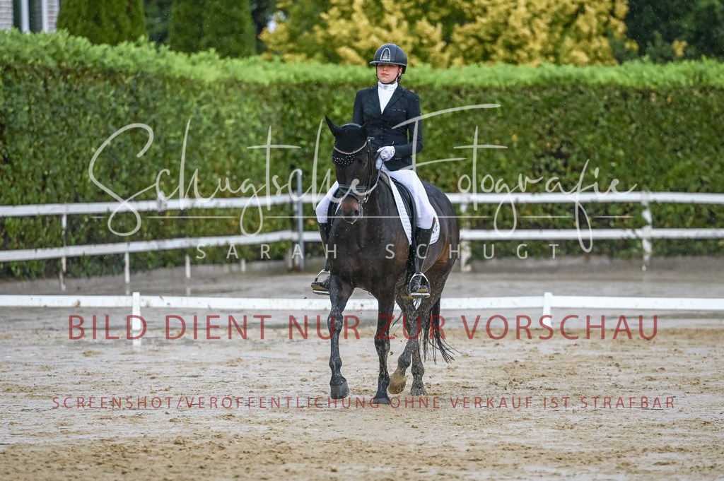 Schugtsche-Aluta25-55.Dressurreiterprf.L1Tr-304 | Schugtsche Fotografie - Realisiert mit Pictrs.com