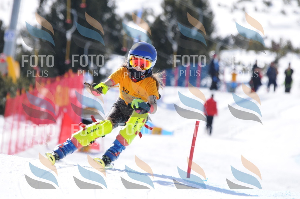 C8835 | holidayphoto