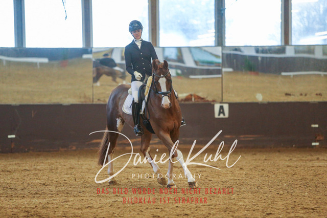 IMG_7161 | Turniersportfotografie; Pferdefotografie; Dressurfotografie