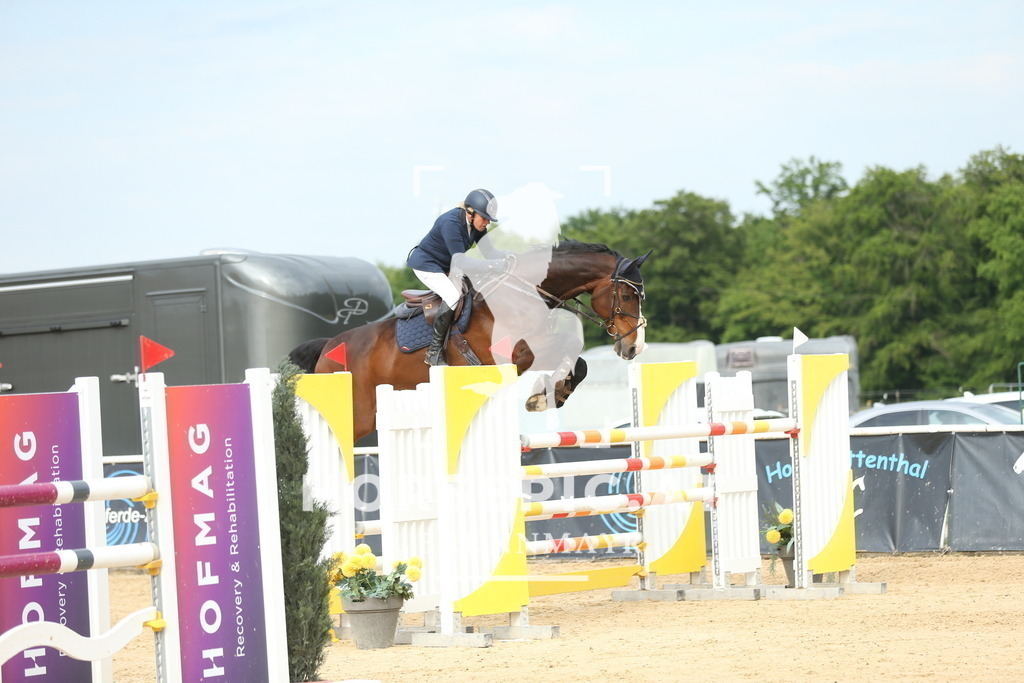 DL2Q4019 | Willkommen bei Brunnmayr - Design & Fotografie – Ihrem Spezialisten für Reitturniere und Pferdeveranstaltungen in Oberösterreich, Salzburg und Bayern! Seit über 17 Jahren sind wir leidenschaftlich dabei.