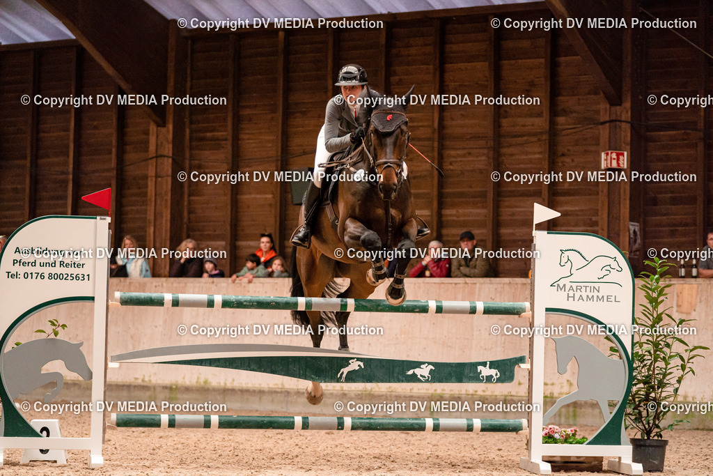 Springen Tag 3-369 | dv-media-shop - Realisiert mit Pictrs.com