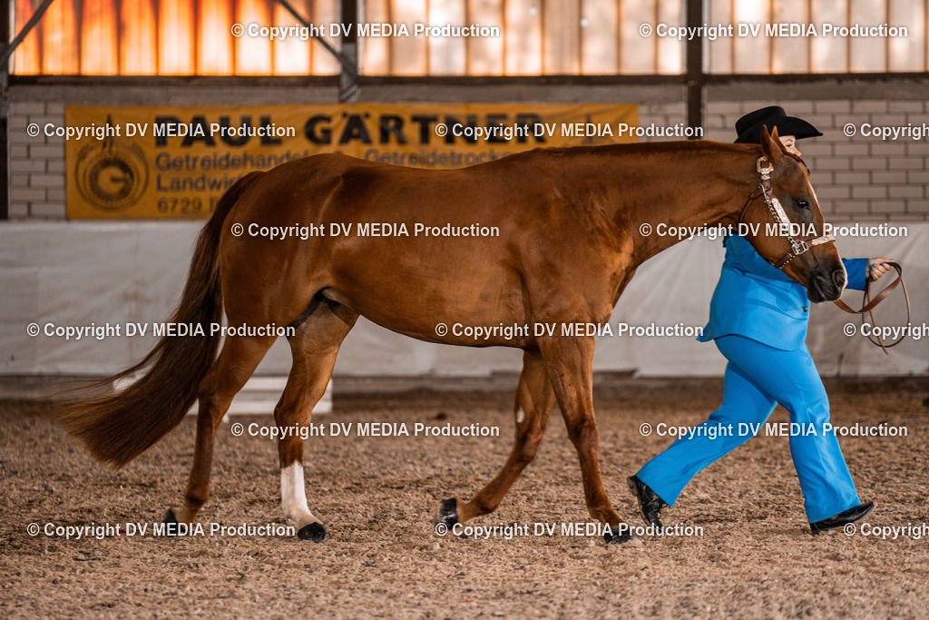 ZH100094 | dv-media-shop - Realisiert mit Pictrs.com