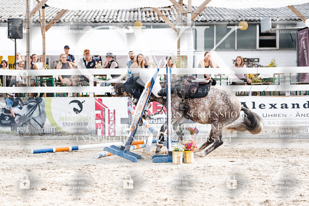 CK907036 | Turnierfotografie Pferdefotografie Trier Rheinland-Pfalz Pferdesport Reitsport Tierfotografie Sportfotografie Pferdevideo Pferdevideografie Equestrianvideography equestrianphotography  - Realisiert mit Pictrs.com