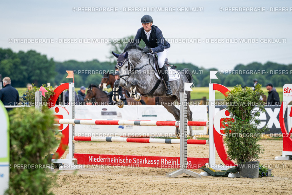 DSC06075 | Pferdegrafie