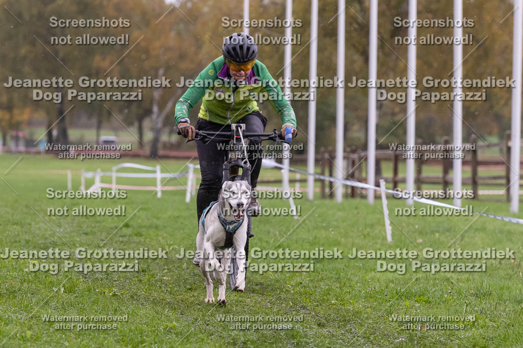 Dog Paparazzi - SD CaniX Championship 2025-939 | Dog Paparazzi Jeanette Grottendiek Fotografie & Videografie - Realisiert mit Pictrs.com