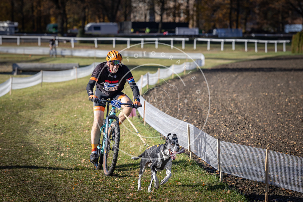 CaniXpix_DV3A5648 | Hundefotografie, Tierfotograf, Pfotenfotografie, Fotoshooting Hund, Hunde Portrait, Hundesport, Hundeportraits, Heideshooting, Hunde, Sportfotograf, Hundefotograf, Turnierhundsport, THS,  - Realisiert mit Pictrs.com