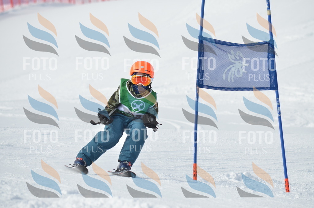 D8622 | holidayphoto