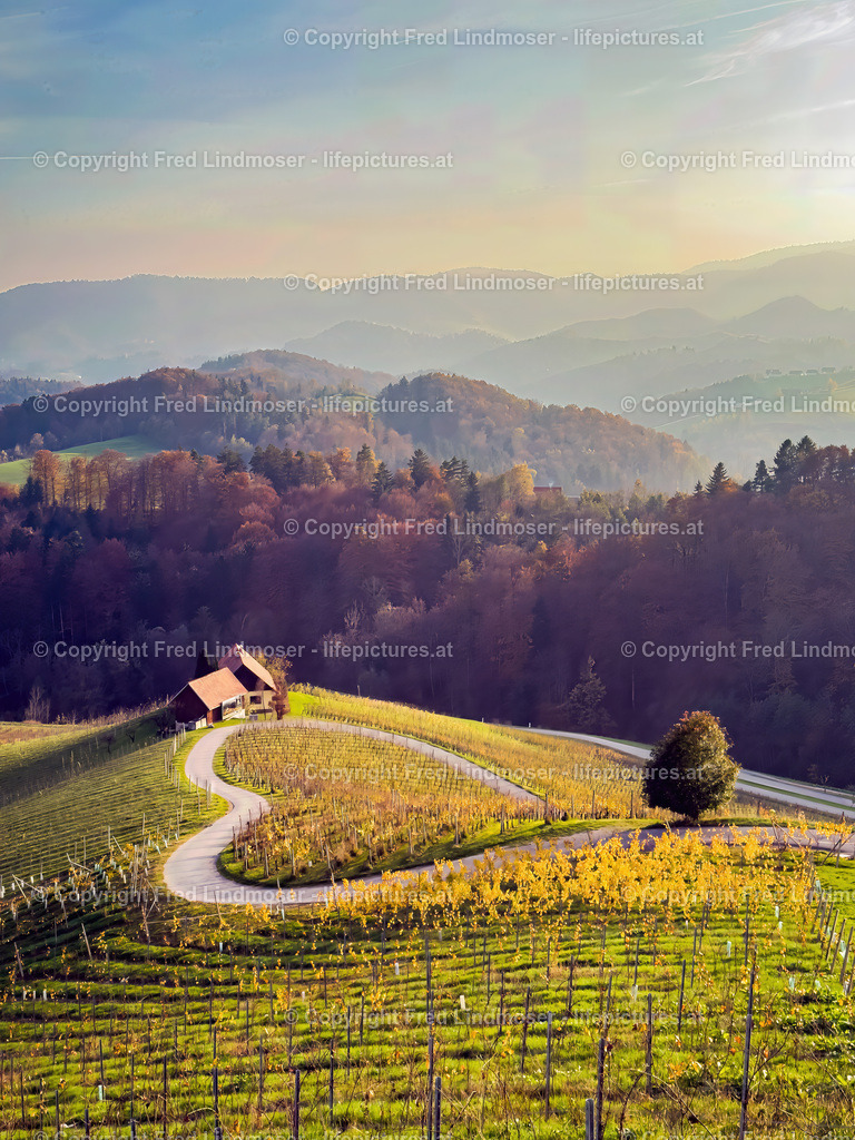 Herzerlstraße Slowenien Suedsteiermark November 2024 _ Fred Lindmoser 0285 | Fotos und Fotoprodukte - Realisiert mit Pictrs.com