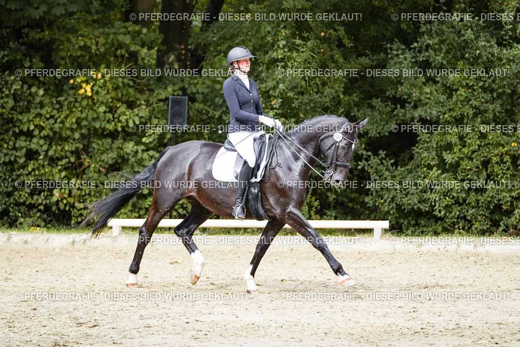 DSC05327 | Pferdegrafie