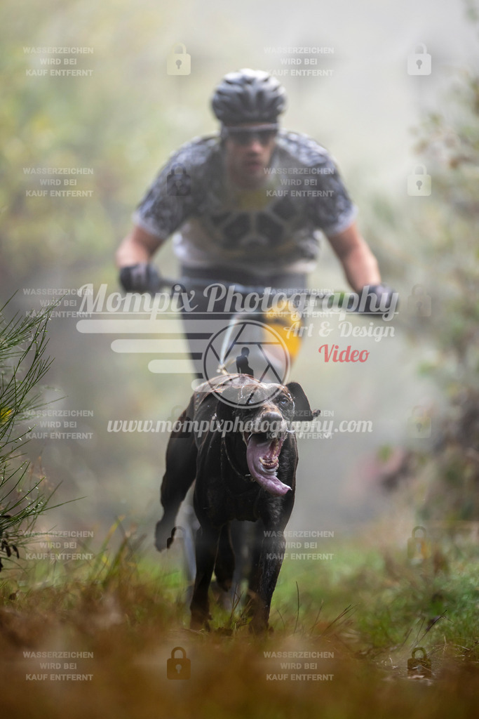 MompixPhotography_20TSB_E4_DS1-2 | PayLife