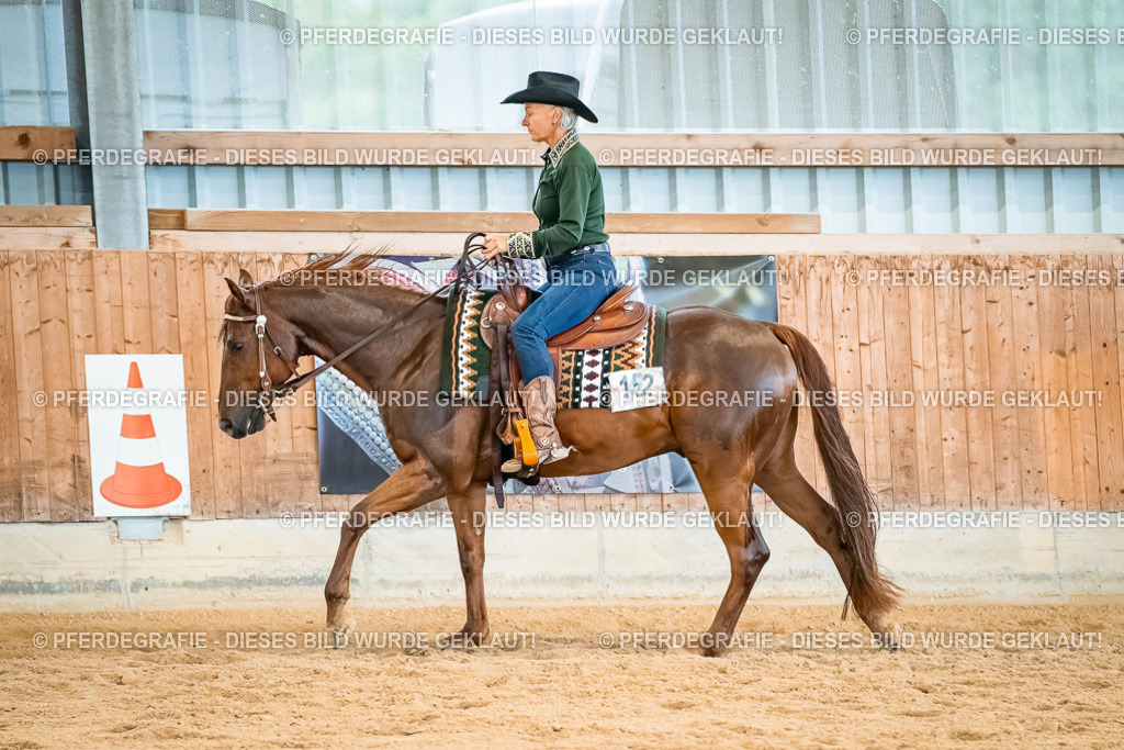 DSC00469 | Pferdegrafie