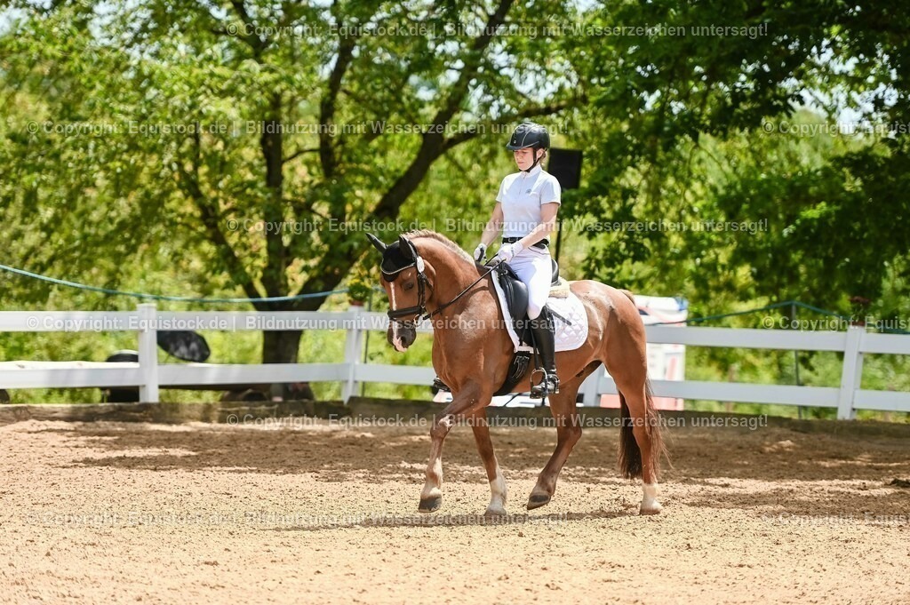 20230715_05_Dressurprüfung Kl.A++_0191 | equistock