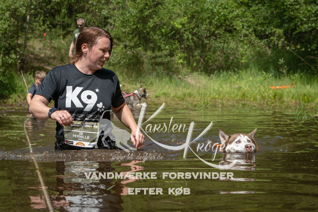 1218DKK992495 | kk-dogfotos