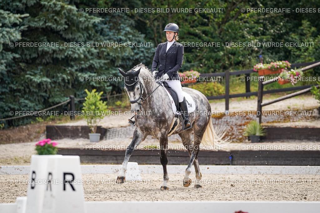 DSC08092 | Pferdegrafie