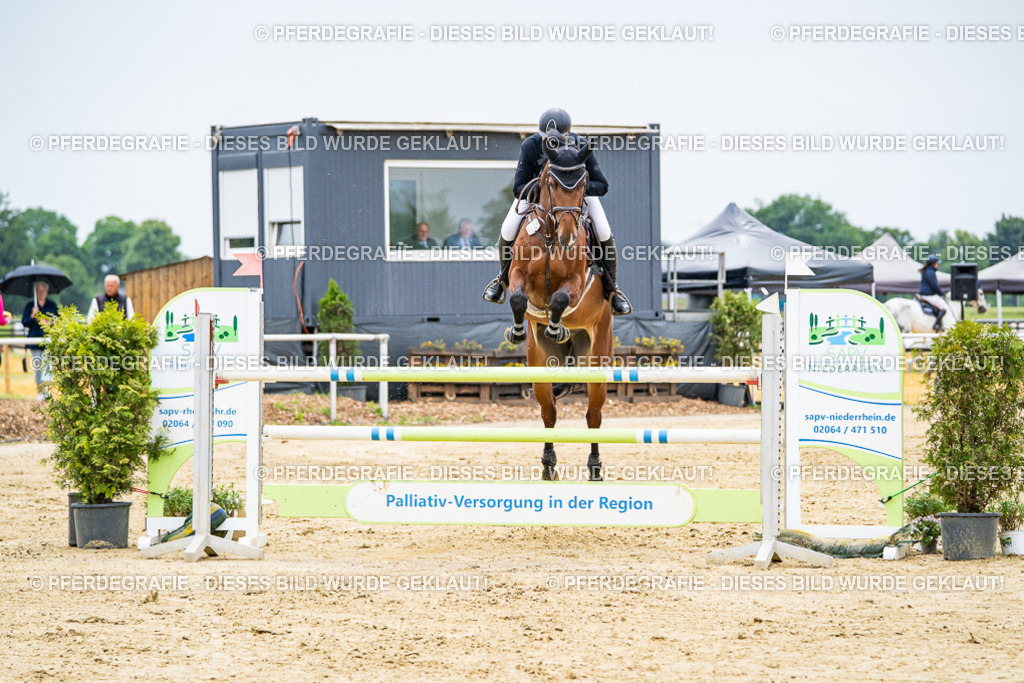 DSC07052 | Pferdegrafie