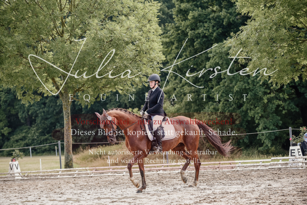 DSC_9268 | Pferde- und Turnierfotografie in Westsachsen. Pferdeportraits, Auftragszeichnungen und intuitive Kunst.