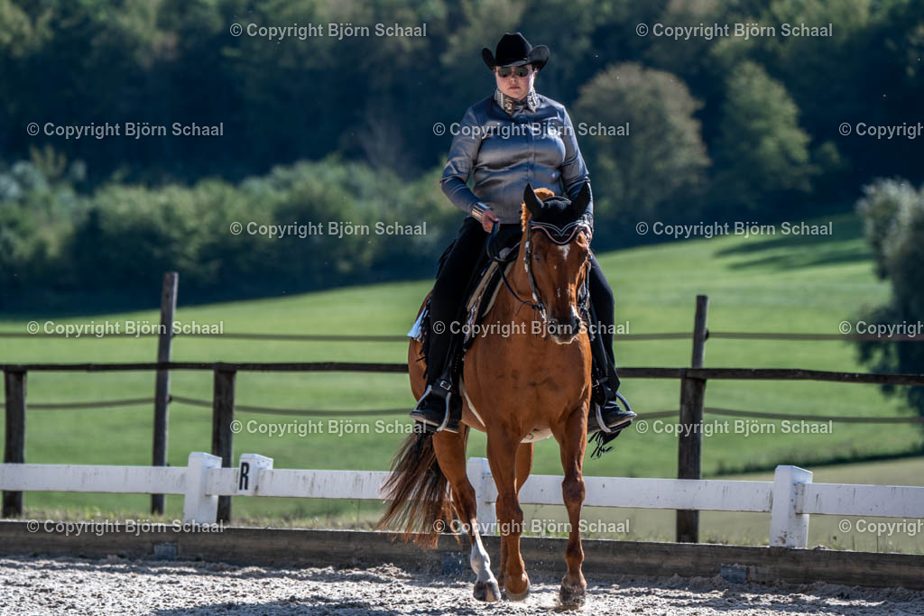 HOB00585 | BS-foto